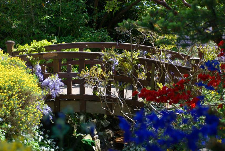 Beenthere Donethat The Bridge Near The Wisteria Singleton