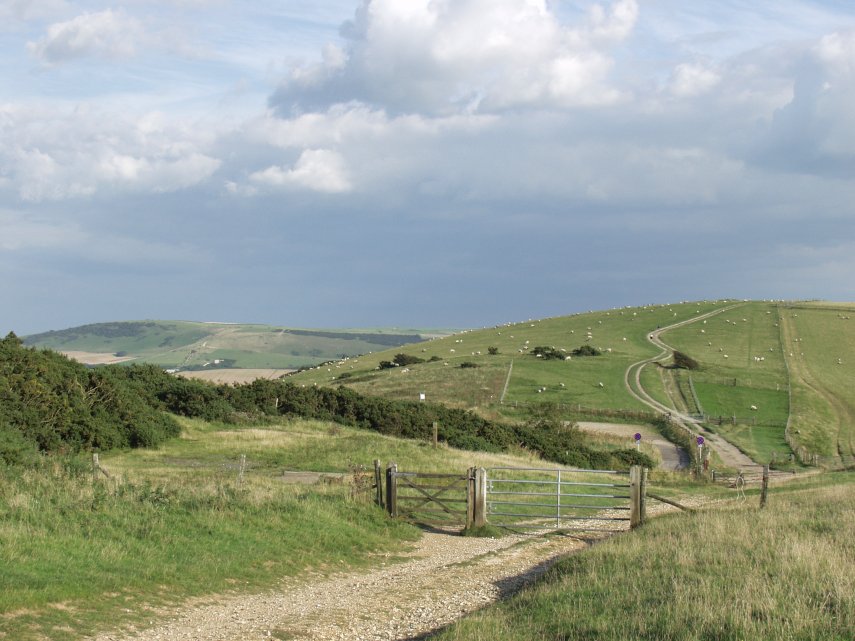 The South Downs, Sussex, England, Great Britain