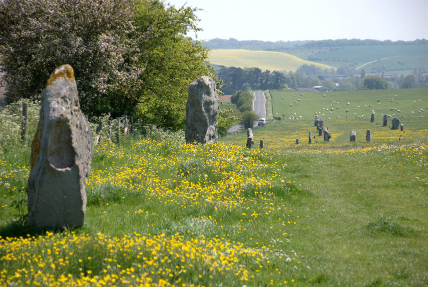 West Kennet Avenue, Avebury, Wiltshire, England, Great Britain