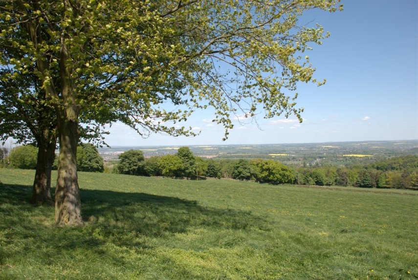 Broombriggs Hill, Charnwood Forest, Leicestershire, England, Great Britain