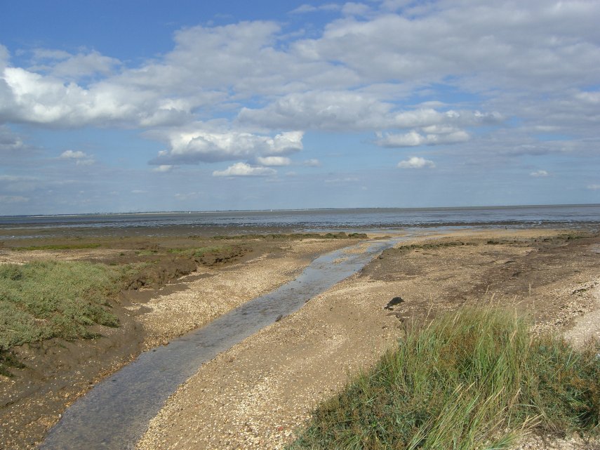 A Stream joining the River Blackwater, St. Peter's Chapel, Bradwell-on-Sea, Essex, England, Great Britain