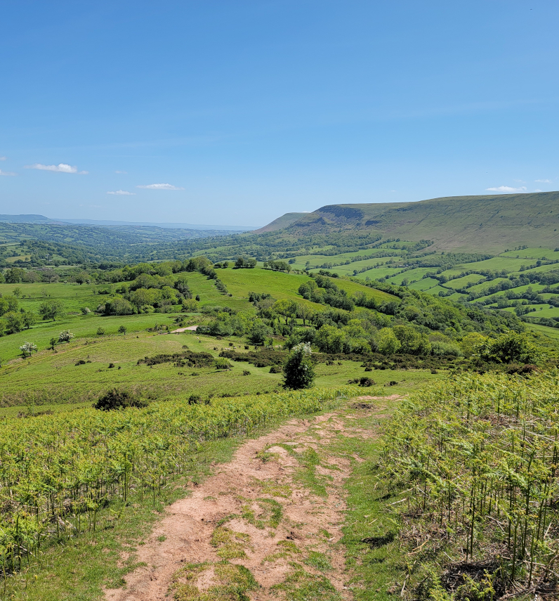 The path up to the ridge, Cat's Back, Herefordshire, England