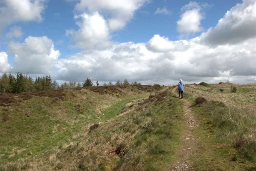 Banks and Ditches, Bury Ditches, Clun, Shropshire, England