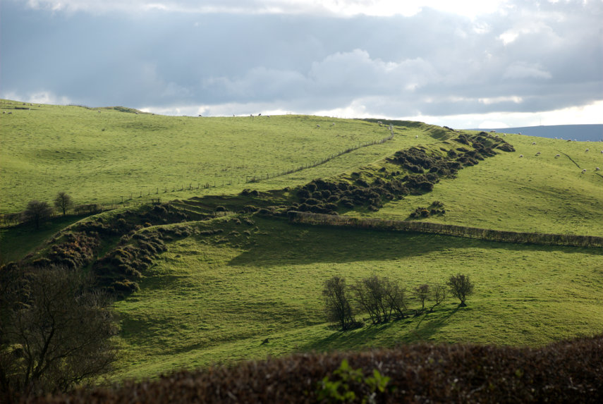 Offa's Dyke on the North-Western flank of Llanfair Hill, Clun, Shropshire, England