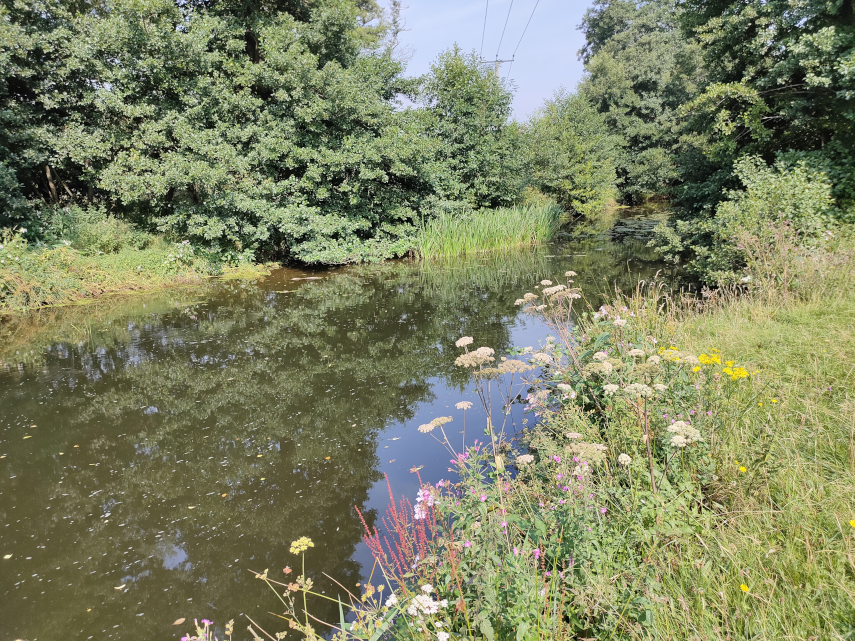 View of the River Onny, Craven Arms, Shropshire, Great Britain