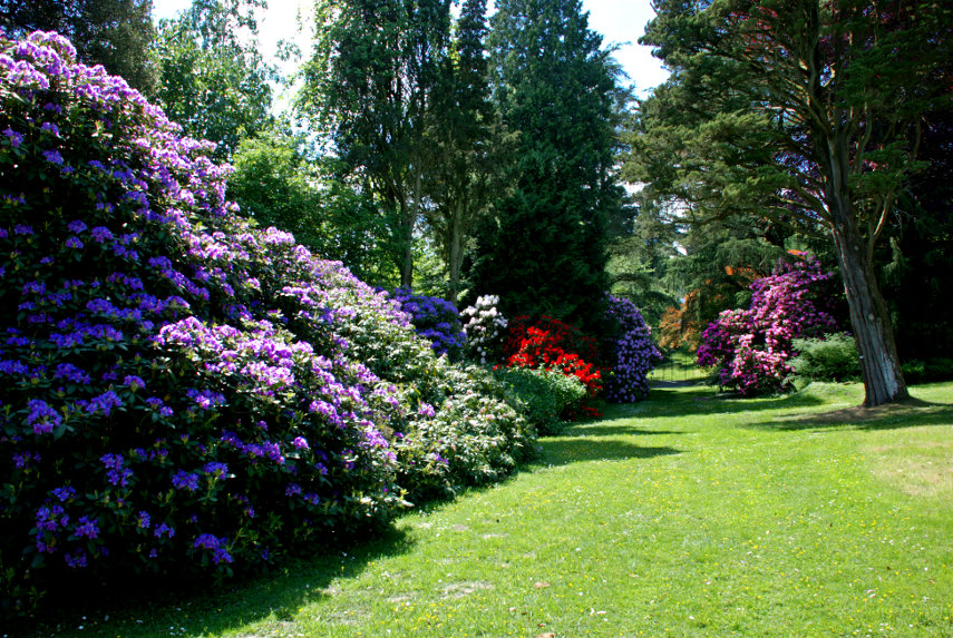 A colourful View, Hergest Croft, Kington, Herefordshire, England, Great Britain