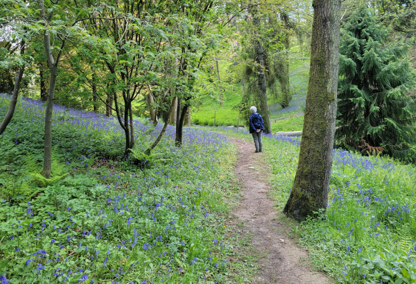 Hergest Croft Gardens, Kington, Herefordshire, England, Great Britain