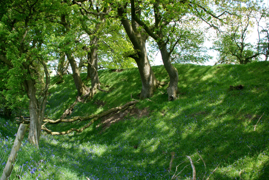 View of Offa's Dyke, Knighton, Radnorshire, Wales