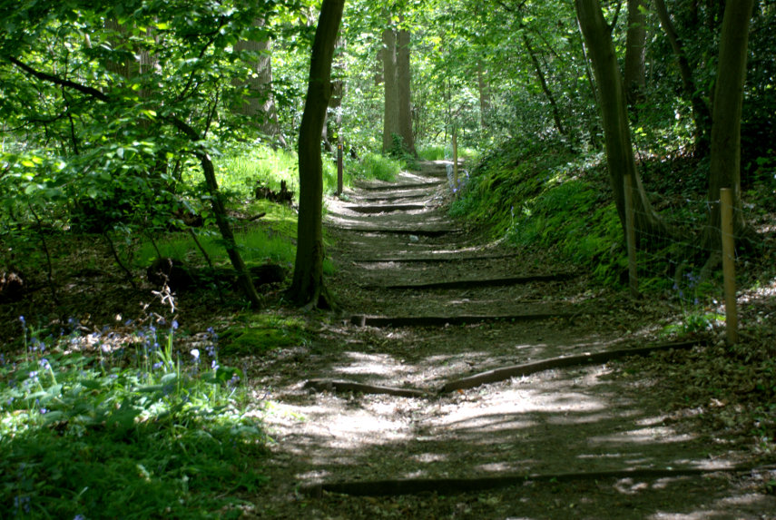 Picture of a path, Abbey Wood, London, Great Britain