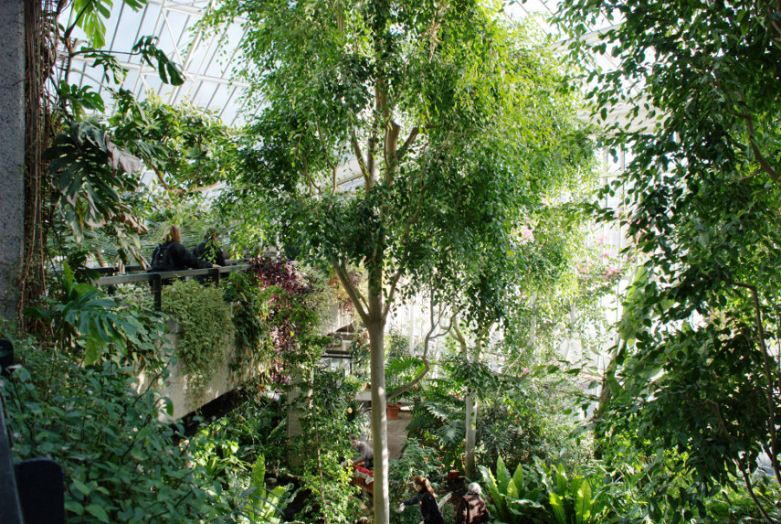 Visitors on two levels, Barbican Conservatory, London, England, Great Britain