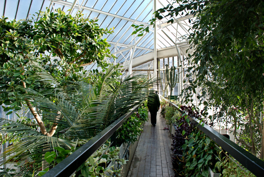 The Barbican Conservatory, London, England, Great Britain