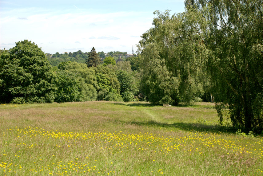 Natural Open Ground, Hampstead Heath, London, England, Great Britain