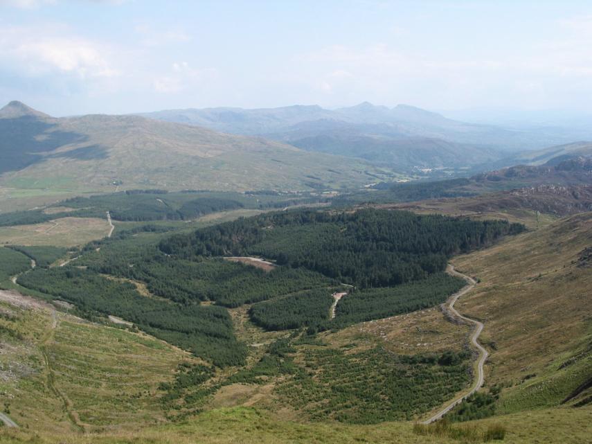 Beddgelert Forest, Beddgelert, Snowdonia, Caernarfonshire, Wales, Great Britain