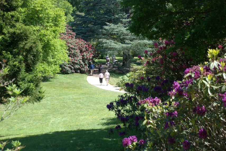 Sheffield Park Gardens, Sheffield Park, Sussex, England, Great Britain