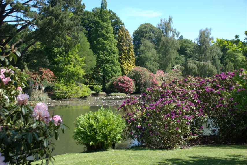 Middle Lake, Sheffield Park Gardens, Sheffield Park, Sussex, England, Great Britain