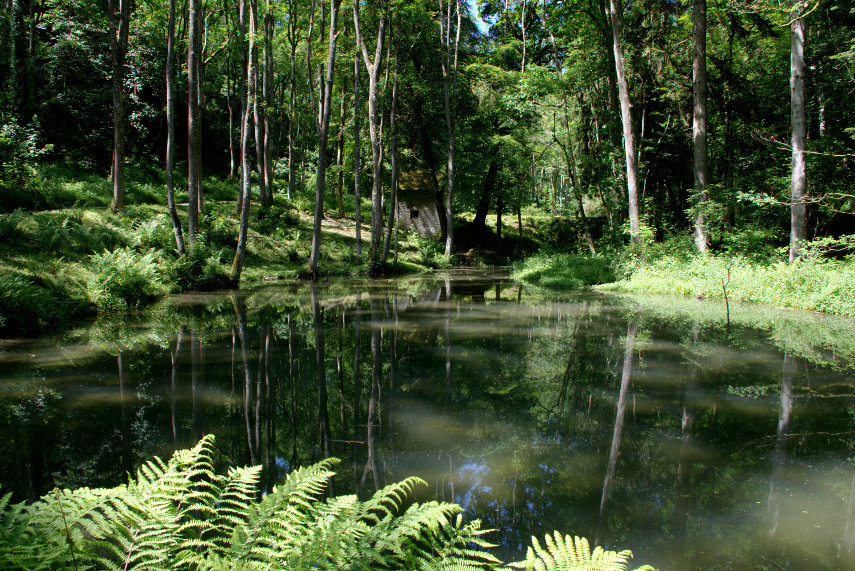 Fishpool Valley, Croft Castle, Yarpole, Herefordshire, England, Great Britain